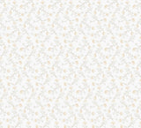 Eade's 1905-5-sample Pink