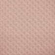 Eade’s # 03 CORAL