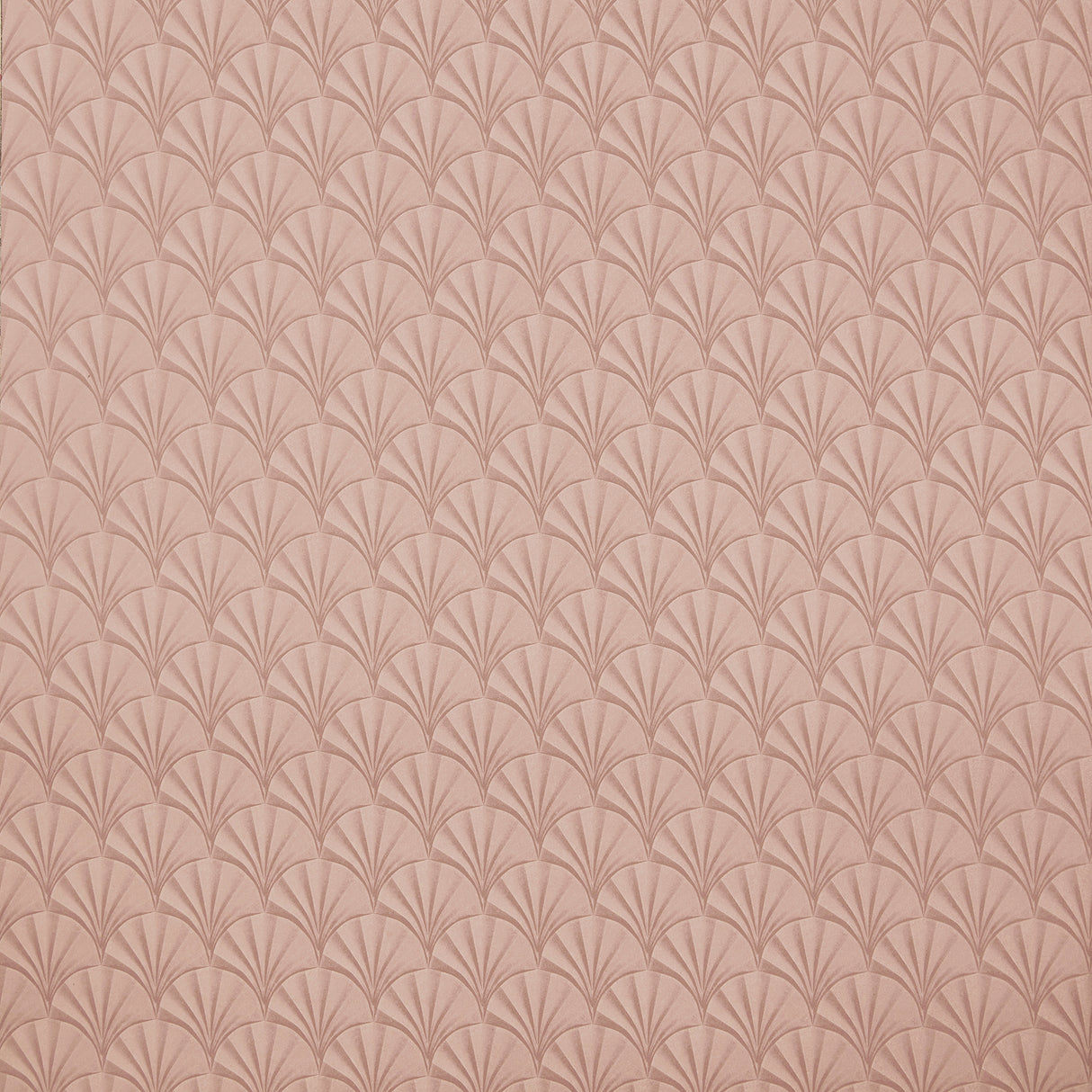 Eade’s # 03 CORAL
