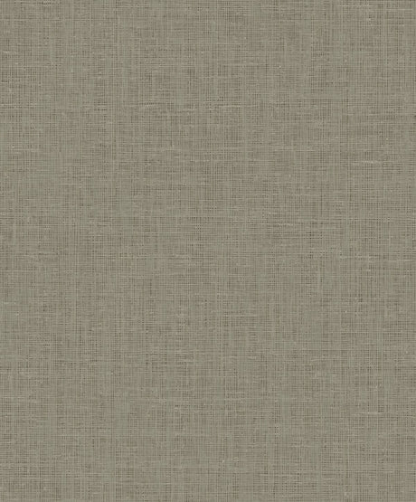 Etten Studios 2011406 Wallpaper - Eade's Wallpaper & Fabric