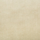 LEE JOFA 2016121.116.0 DUCHESS VELVET BEIGE Fabric - Eade's Wallpaper