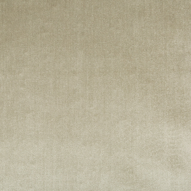 LEE JOFA 2016121.163.0 DUCHESS VELVET OYSTER Fabric - Eade's Wallpaper