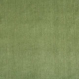 LEE JOFA 2016121.23.0 DUCHESS VELVET PEASHOOT Fabric - Eade's Wallpaper