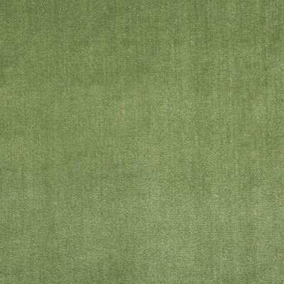 LEE JOFA 2016121.23.0 DUCHESS VELVET PEASHOOT Fabric - Eade's Wallpaper