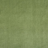 LEE JOFA 2016121.23.0 DUCHESS VELVET PEASHOOT Fabric - Eade's Wallpaper