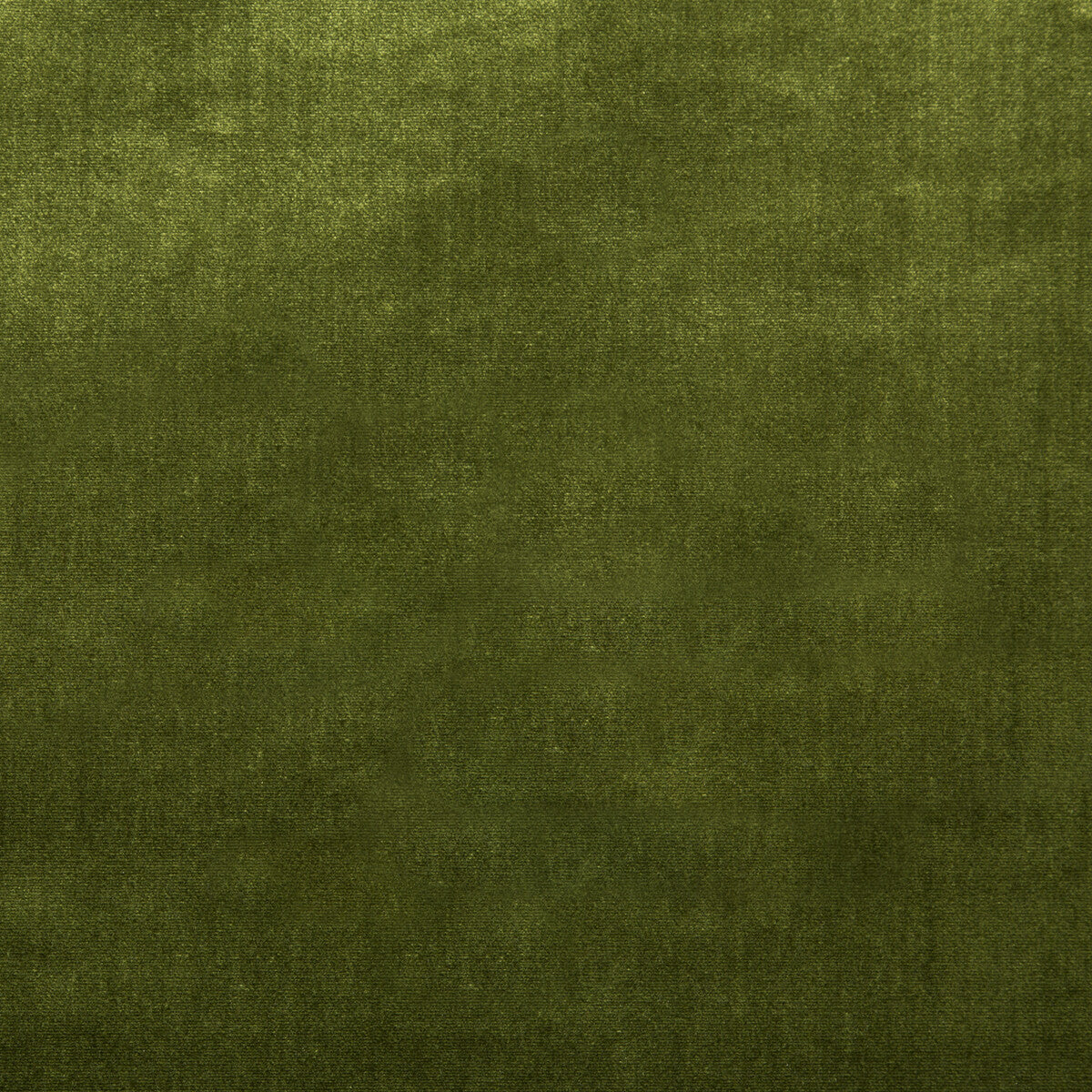 LEE JOFA 2016121.323.0 DUCHESS VELVET OLIVE Fabric - Eade's Wallpaper
