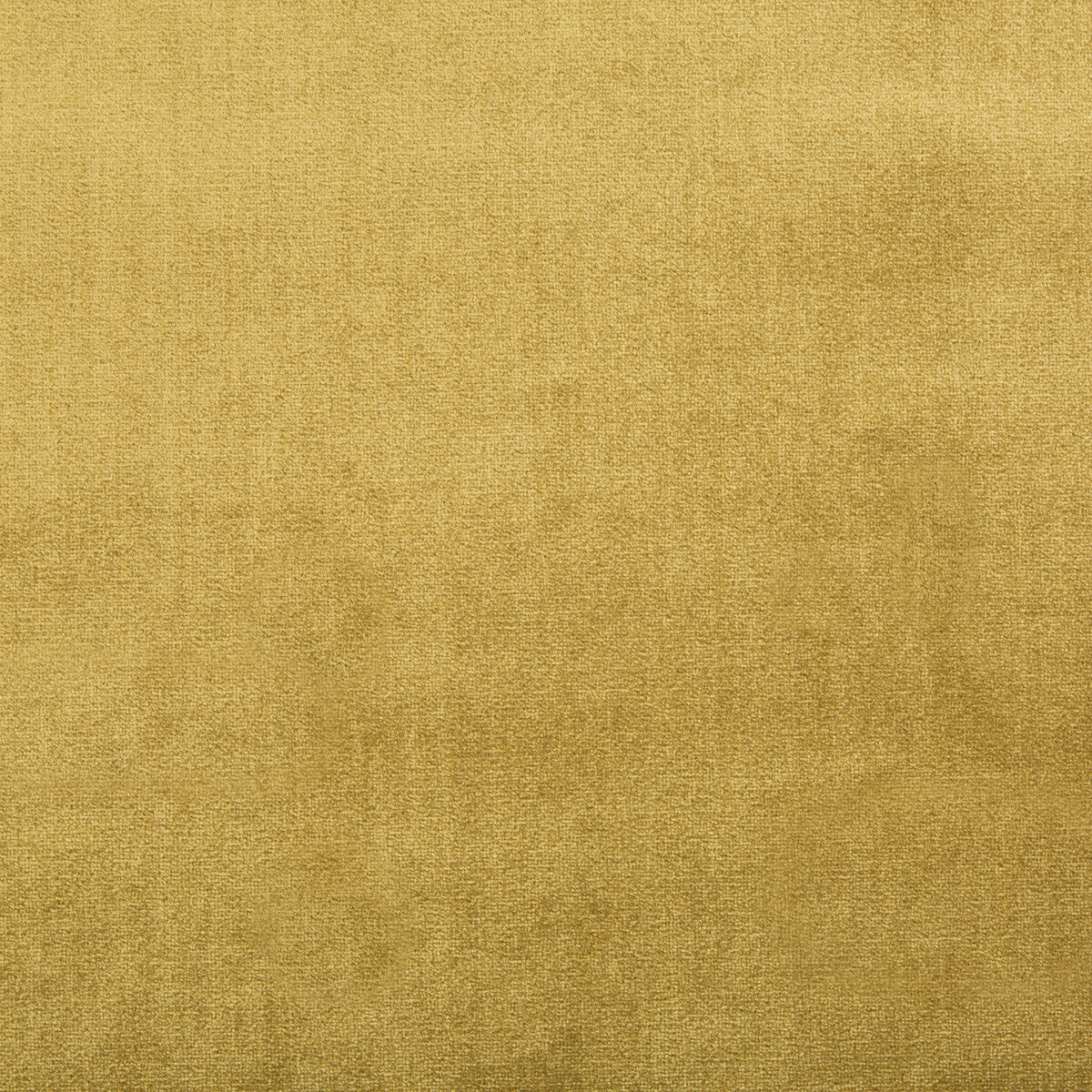 LEE JOFA 2016121.40.0 DUCHESS VELVET ORO Fabric - Eade's Wallpaper