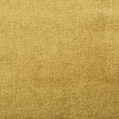 LEE JOFA 2016121.40.0 DUCHESS VELVET ORO Fabric - Eade's Wallpaper