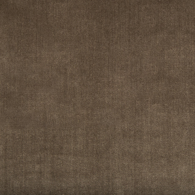 LEE JOFA 2016121.6.0 DUCHESS VELVET MINK Fabric - Eade's Wallpaper