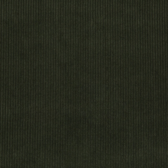 LEE JOFA 2017121.30.0 SARANAC CORD LODEN Fabric - Eade's Wallpaper