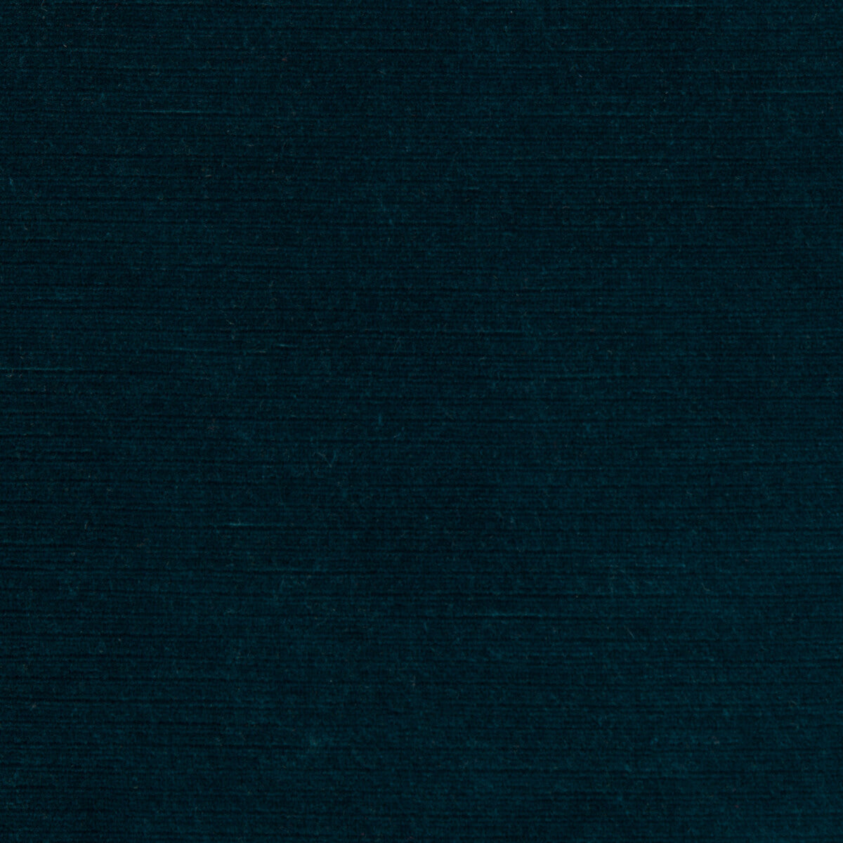 LEE JOFA 2018148.5.0 GEMMA VELVET MIDNIGHT Fabric - Eade's Wallpaper