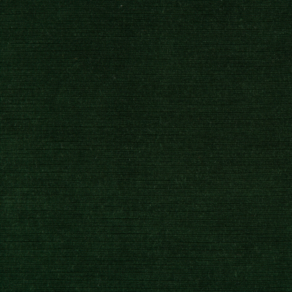 LEE JOFA 2018148.53.0 GEMMA VELVET EMERALD Fabric - Eade's Wallpaper