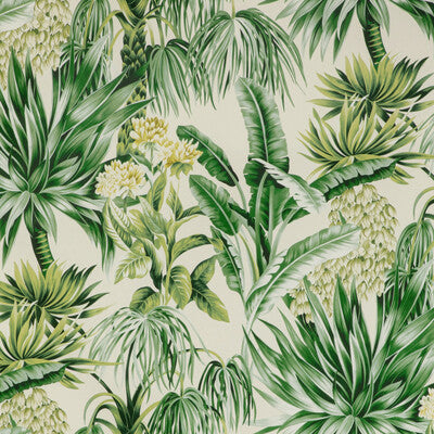 LEE JOFA 2020196.3034.0 CALUYA PRINT PALM Fabric - Eade's Wallpaper
