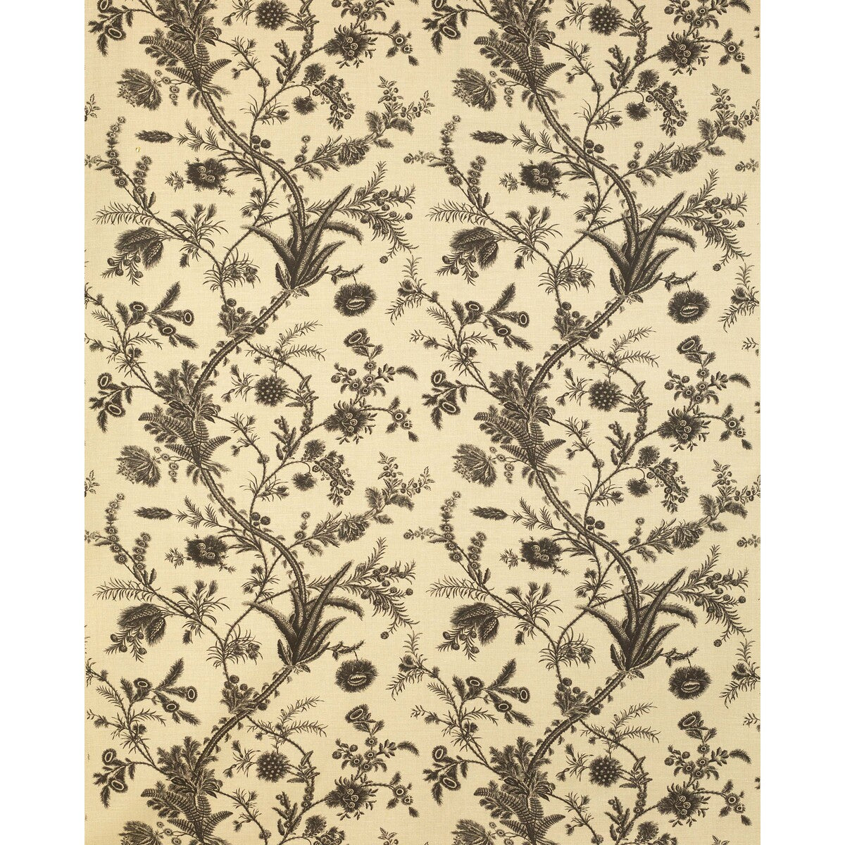 LEE JOFA 2022123.816.0 PLUMES BLACK Fabric - Eade's Wallpaper