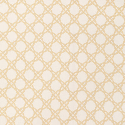 LEE JOFA 2025117.161.0 COASTAL CANE SAND Fabric - LILLY PULITZER III