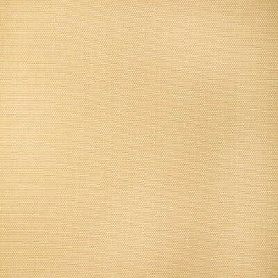 LEE JOFA 2025119.16.0 SARASOTA WEAVE SAND Fabric - LILLY PULITZER III