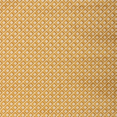 LEE JOFA GREENWICH VELVET 2025123.4.0 in GOLD Fabric - COVEN