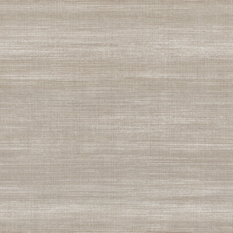 Eade's IT21152-sample Beige