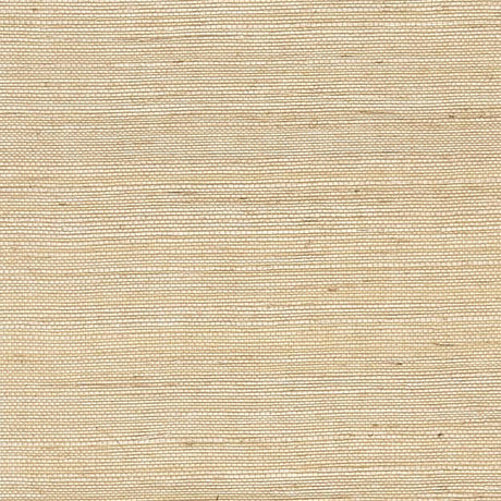  13-W6941 2153 Wallcovering - Eade's Wallpaper & Fabric