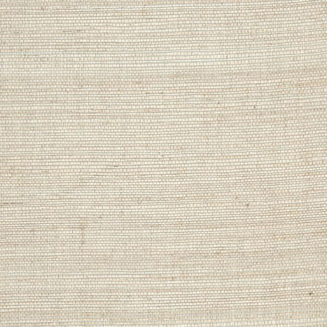  61-W6941 2166 Wallcovering - Eade's Wallpaper & Fabric