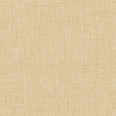 Eade's IT22083-sample Yellow