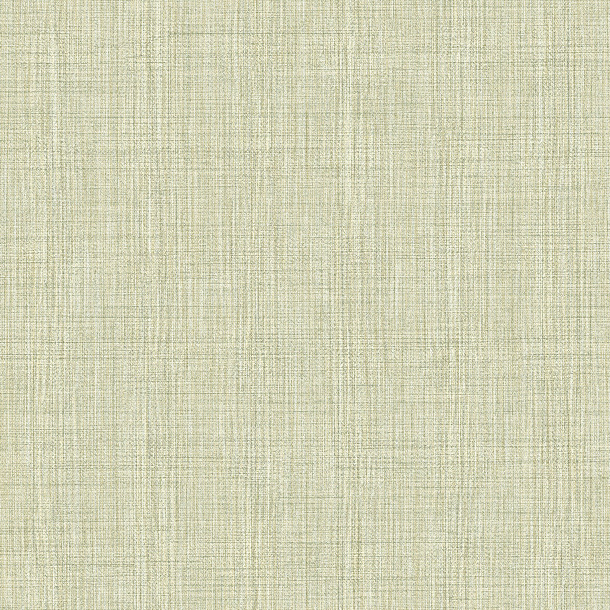 Eade's IT22085-sample Green