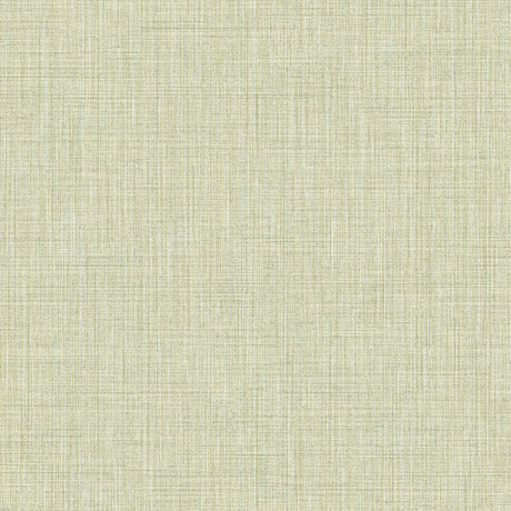 Eade's IT22085-sample Green