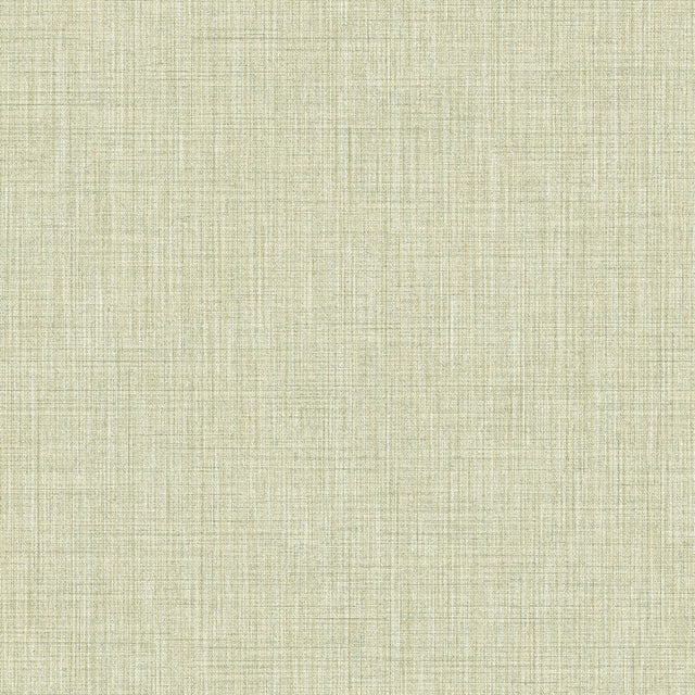 Eade's IT22085-sample Green