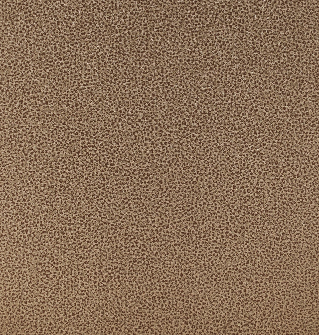 Etten Studios 2231606 Wallpaper - Eade's Wallpaper & Fabric