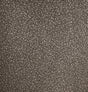 Etten Studios 2231610 Wallpaper - Eade's Wallpaper & Fabric
