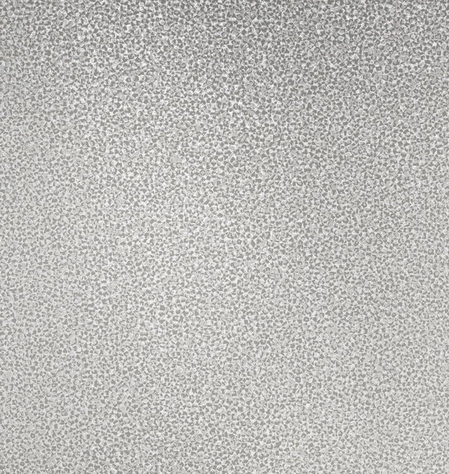 Etten Gallerie 2231631 Mica Texture Wallpaper