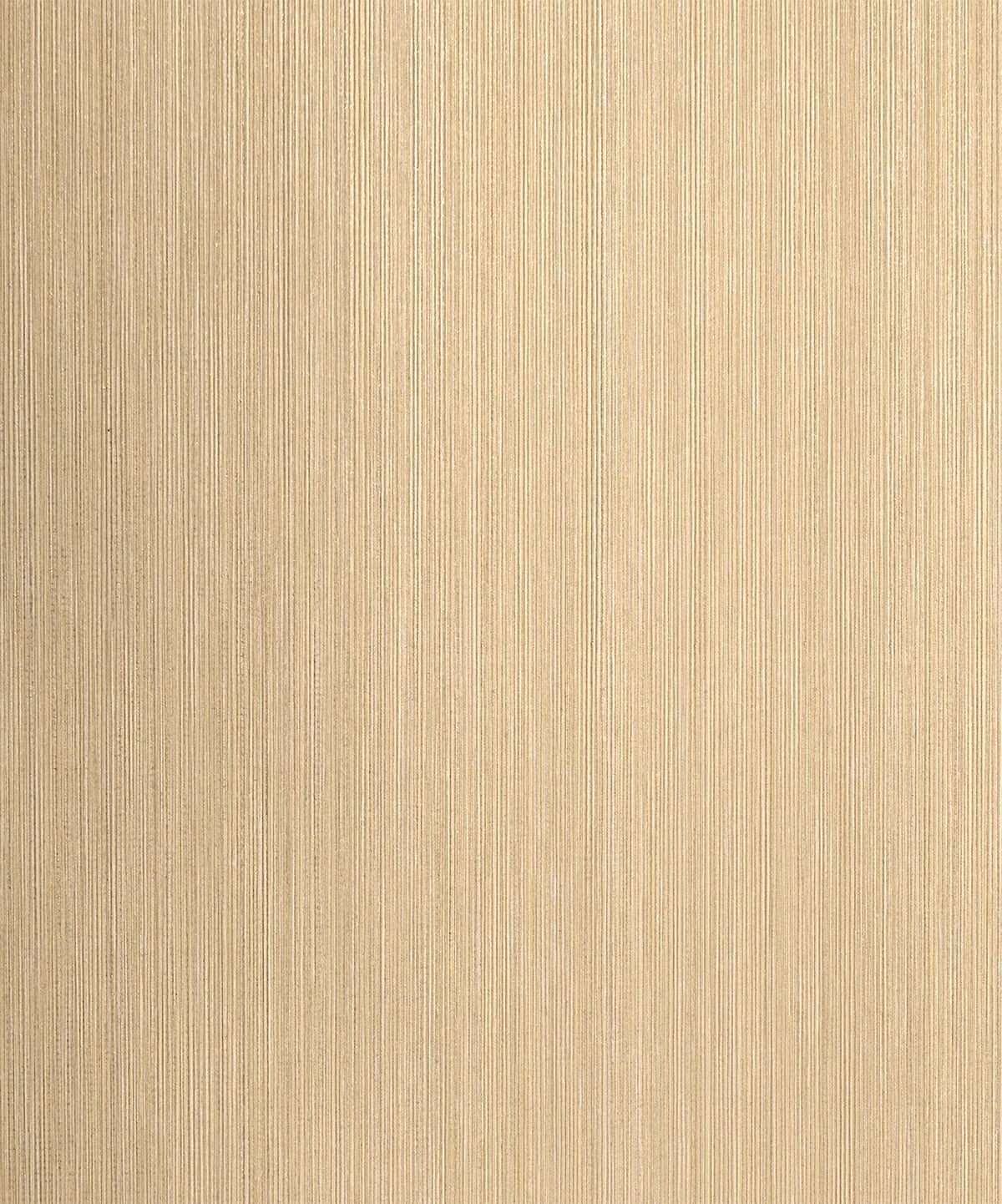 Etten Studios 2231703 Wallpaper - Eade's Wallpaper & Fabric