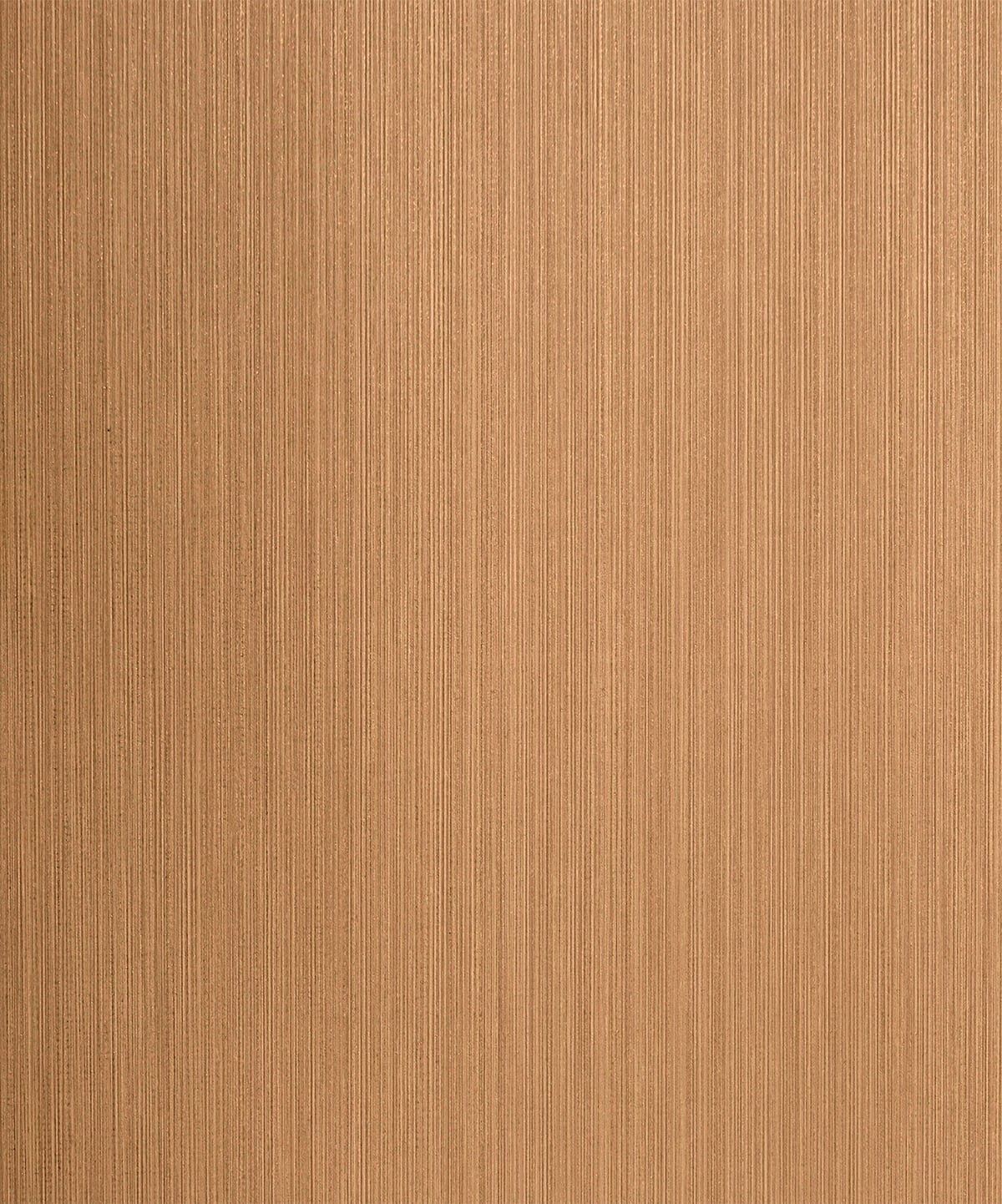 Etten Studios 2231706 Wallpaper - Eade's Wallpaper & Fabric