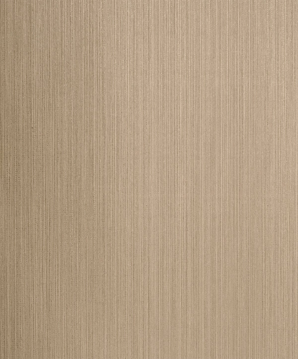 Etten Studios 2231707 Wallpaper - Eade's Wallpaper & Fabric