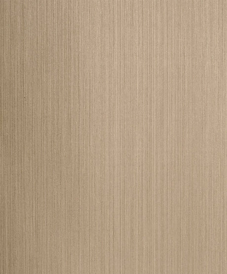 Etten Studios 2231707 Wallpaper - Eade's Wallpaper & Fabric