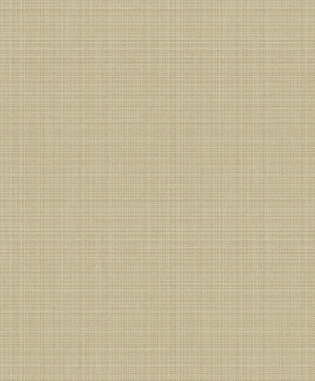 Etten Studios 2231905 Wallpaper - Eade's Wallpaper & Fabric