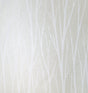 Etten Gallerie 2232100 Birch Trail Wallpaper