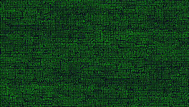 Marimekko 23310X Orkanen Wallpaper