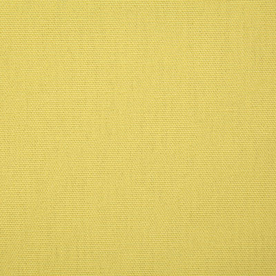 Pindler CALLAHAN CITRON 2381 Fabric - Fabric Collection