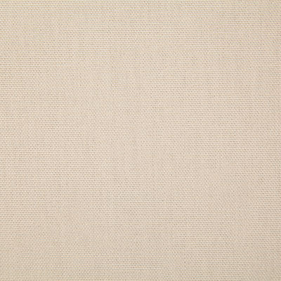 Pindler CALLAHAN ECRU 2381 Fabric - Fabric Collection