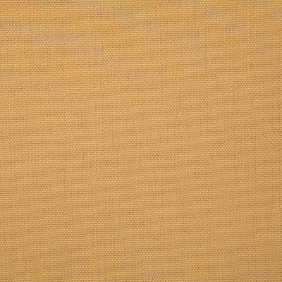 Pindler CALLAHAN GOLD 2381 Fabric - Fabric Collection