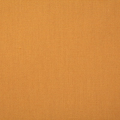Pindler CALLAHAN MIMOSA 2381 Fabric - Fabric Collection