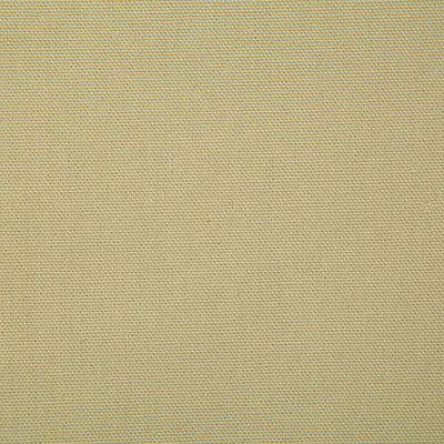 Pindler CALLAHAN WILLOW 2381 Fabric - Fabric Collection