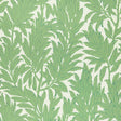 Eade’s # 01 VERDE