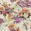 Eade’s # 01 APRICOT