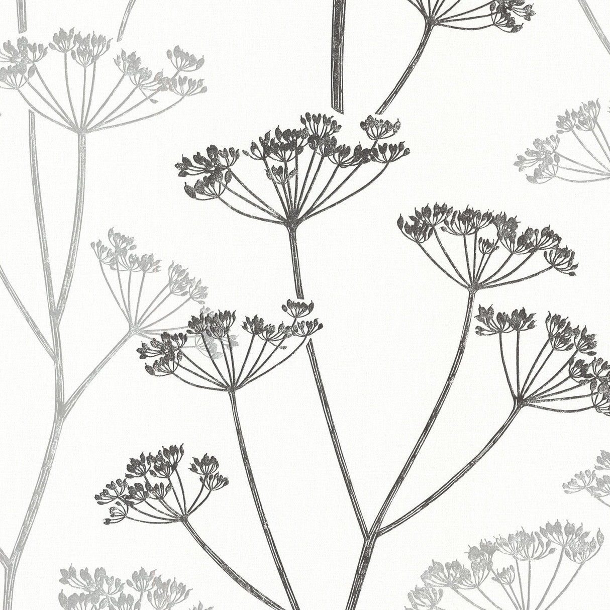 Brewster 2532-20427 Albury Black Brasilia Flower Wallpaper