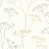 Brewster 2532-20429 Albury Beige Brasilia Flower Wallpaper