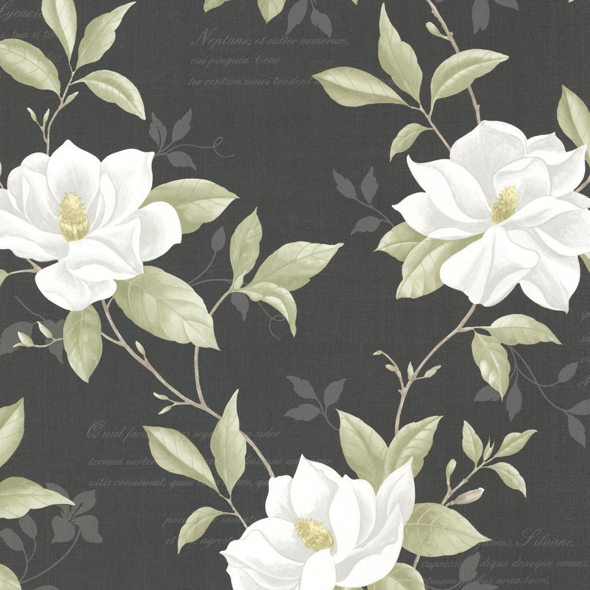 Brewster 2532-20437 Cressida Black Magnolia Trail Wallpaper