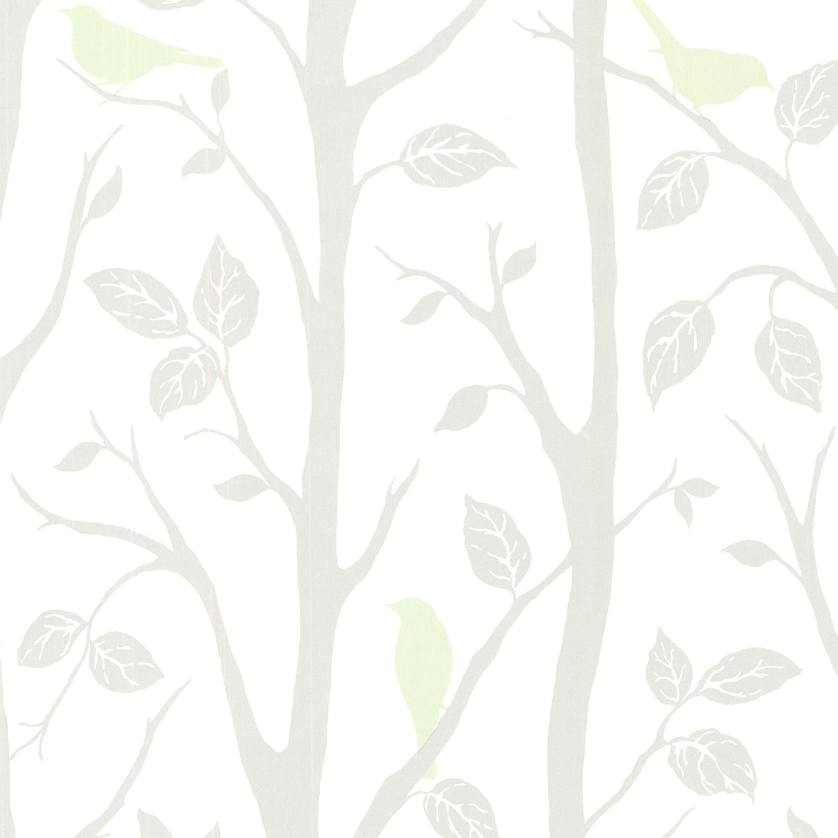 Brewster 2532-20445 Corwin Light Green Bird Branches Wallpaper