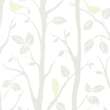 Brewster 2532-20445 Corwin Light Green Bird Branches Wallpaper